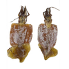 Dried Squid