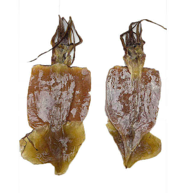 Dried Squid