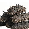 Dried Sea Cucumber