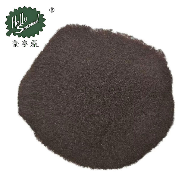 Dulse Powder