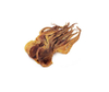 Dried Octpous
