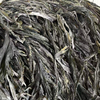 Kelp Raw Material