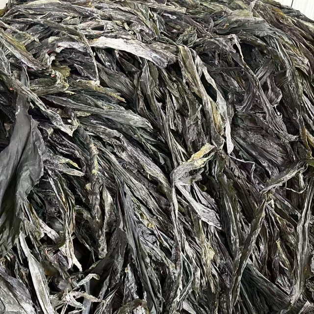 Kelp Raw Material