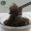 Dried Gracilaria