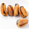 Dried Mussel Meat