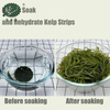 Compressed Round Dried Shredded Kelp