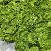 Ulva Raw Material