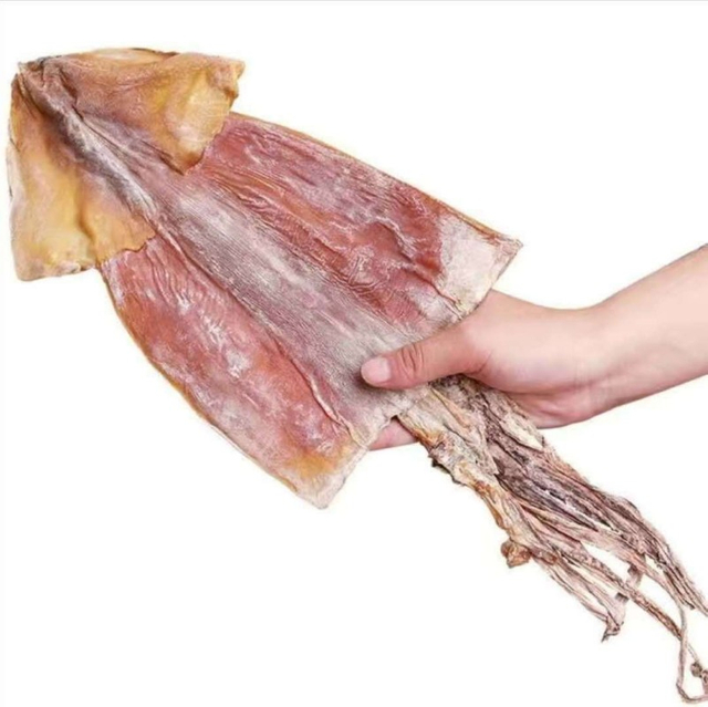 Dried Squid