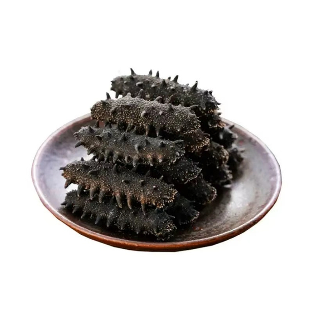 Dried Sea Cucumber
