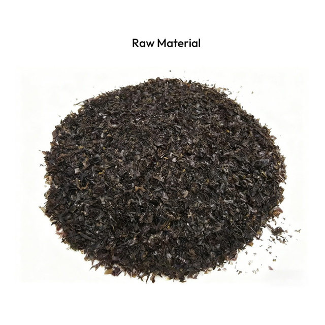 Laver Powder(Feed Grade)